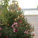Ocean View شقة *
