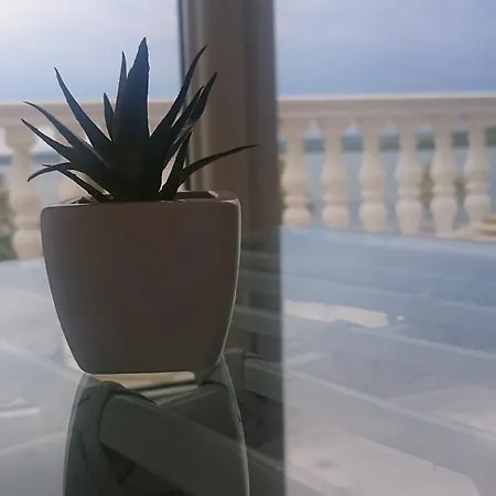 Ocean View Apartment