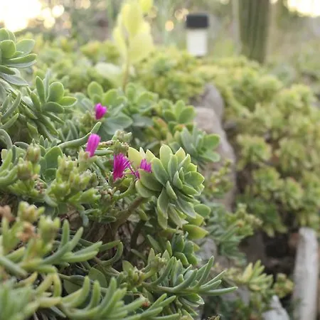 Apartamento Ocean View Bilice