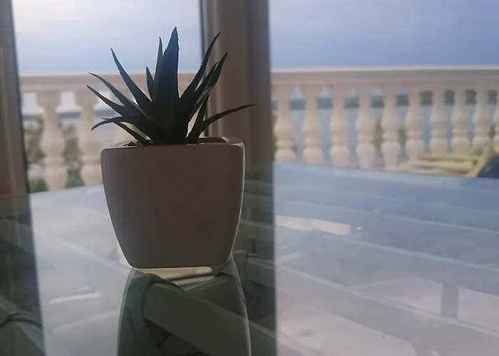 Ocean View Apartment