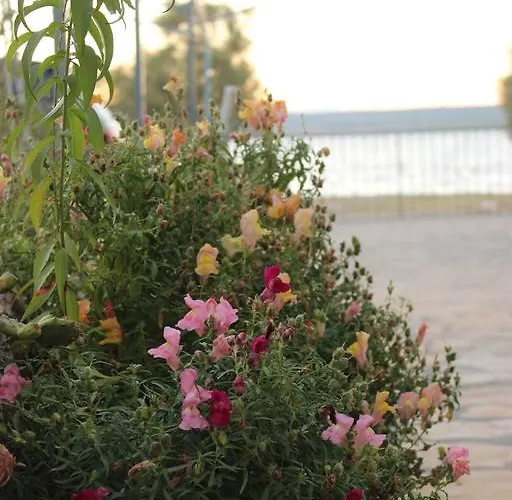 Ocean View דירה *