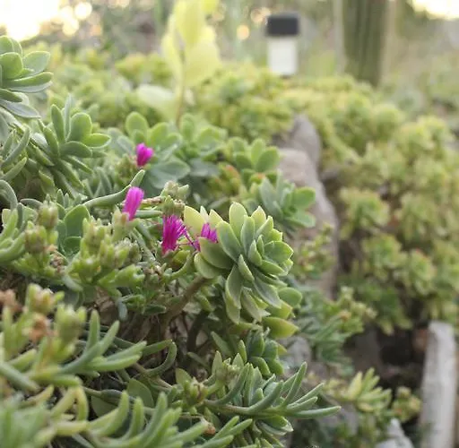 Apartment Ocean View Bilice